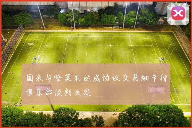 国米与哈莱利达成协议交易细节待俱乐部谈判决定